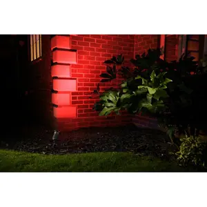 Fung 1 Light Pathway Light (Set of 2) (Set of 2)