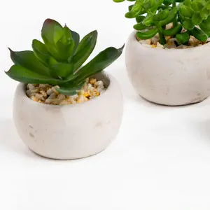 Blooming Artificial - 7cm / 0.25ft Artificial Succulent Trio