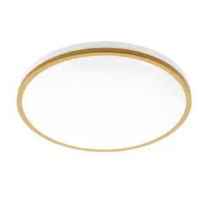 CGC TULA Gold Trim LED Surface Mount Ceiling Light Bulkhead IP44 White Opal 4000k