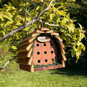 Wooden Hanging Ladybird & Insect House