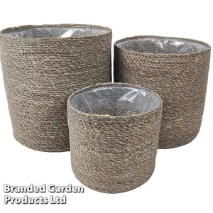 Indoor Planter Basket Natural Chia Seagrass Set of Three 25cm, 22cm & 17cm Diameter Garden Gear