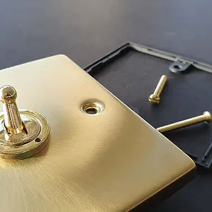 Satin / Brushed Brass 2 Gang Blank Plate - SE Home