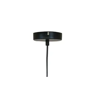 Adelaide 1 - Light Single Pendant Black / 243cm H x 35cm W x 35cm D