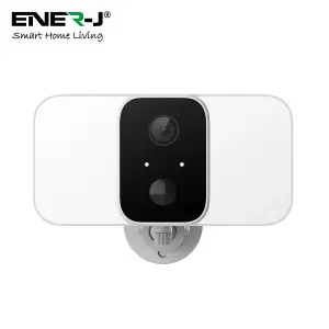 Smart Wireless Floodlight Camera