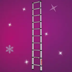 Telesteps Lightweight Safety EN 131 Certified Telescopic Ladder 3m XMS24LADDER