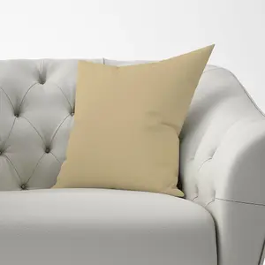 Biscuit Brown Cushions 60cm x 60cm