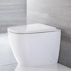 Floor Standing Back to Wall Japanese Style Bidet Toilet