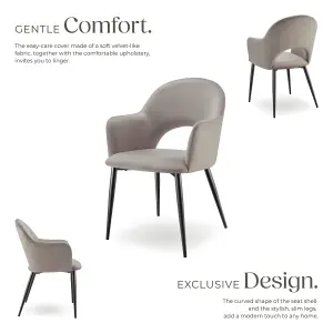 Dining Chair Sachel - padded armchair in velvet look, continuous backrest - taupe