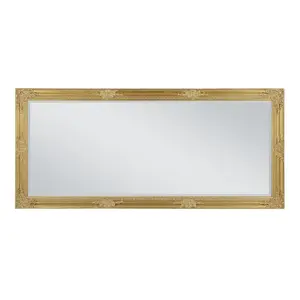 Madeleine Glass Mirror Gold / 74cm W x 163cm W