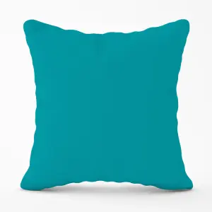 Persian Green Cushions 45cm x 45cm