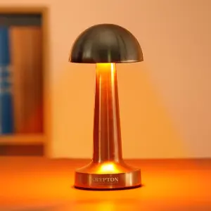 Rechargeable Table Lamp 2 Hours Runtime 3 Stepless Dimming Pack of 2, Silver and Brass Colours