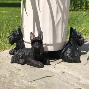 Set of  3 Scottie Dog shaped plant pot stands, great novelty  patio decoraion and Scottish Terrier lover gift