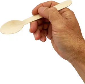 1000pcs Biodegradable Wooden Spoons