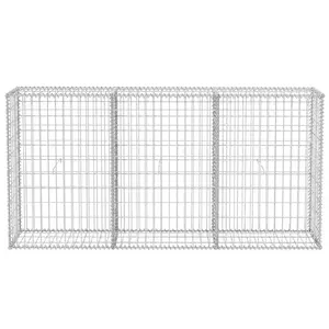 Coline Gabion Basket Steel Outdoor Garden Basket Wall Wire Fence 100cm H x 200cm W x 30cm D