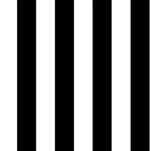 Superfresco Easy Black & white Stripe Smooth Wallpaper