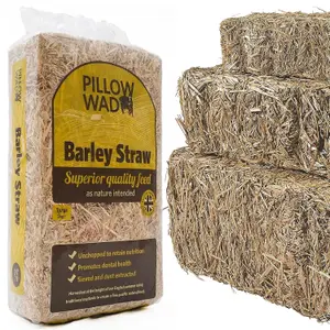 2 Bags (2kg) Barley Straw Bedding Unchopped Soft Animal Bedding For Chickens, Rabbits & Tortoise