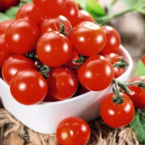 Tomato Consuelo (Crimson Cherry) 1 Seed Packet