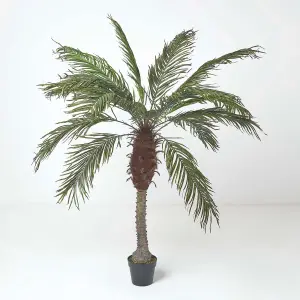 Homescapes Phoenix Palm Tree in Pot, 160 cm Tall