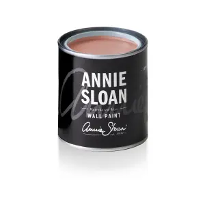 Annie Sloan Wall Paint 120ml Piranesi Pink