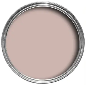 Farrow & Ball Exterior Masonry Mixed Colour Paint 207 Reverie 5L