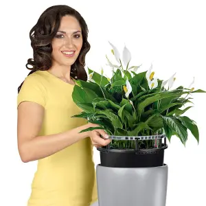 LECHUZA RONDO 56cm Tall Planter, White Self-watering Large Plant Pot with Substrate and Water Level Indicator D32 H56 cm, 13L