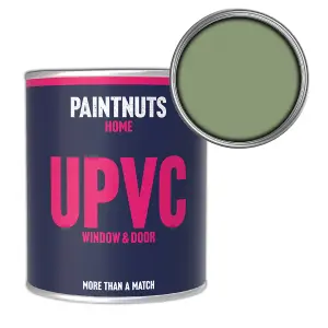 PaintNuts UPVC Door & Window Satin Paint - Pale Green - 500ml Tin (RAL6021)