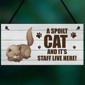 Novelty Funny Cat Sign Pet Sign Pet Gift For Family Home Decor Gift Keepsake