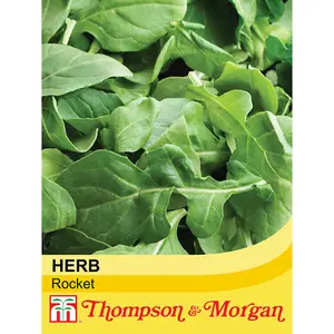 Herb Rocket 1 Seed Packet (500 Seeds)