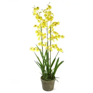 105cm Oncidium Orchid Yellow in Stoneware Planter