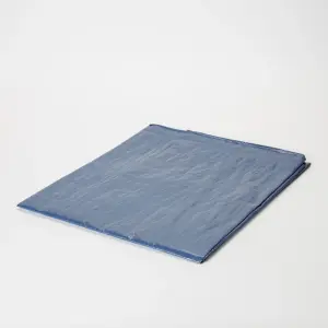 Blue Tarpaulin, (L)3m (W)2m