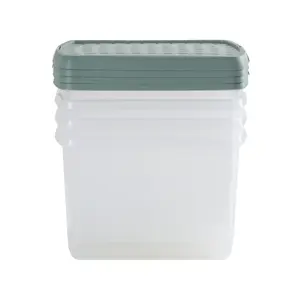 Wham Clip 4x 21.5L Rectangular Plastic Storage Boxes with Secure Clip Lock Lids. L:39 x W:29 x H:25.5cm Clear/Green Milieu/Stone