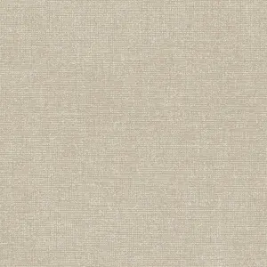 Alchemy Wallpaper Collection Lulea Beige Silver Holden 65814