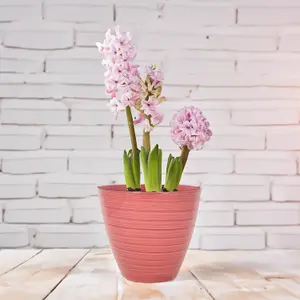 Savannah Pot Planter Round Plastic Pink Gloss Flower Plant Garden Patio 20cm