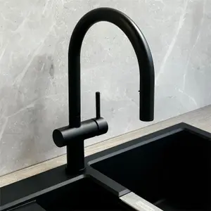 Liquida W19BL Single Lever Pull Out Head Black Kitchen Mixer Tap