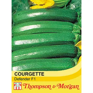 Courgette Defender F1 Hybrid 1 Seed Packet (12 Seeds)