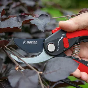 Darlac Adjustable Bypass Secateurs, Garden Pruner, DP334