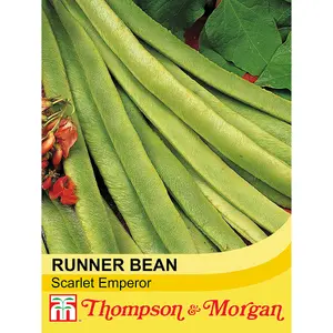 Runner Bean Scarlet Emperor 1 Seed Packet (40 Seeds)