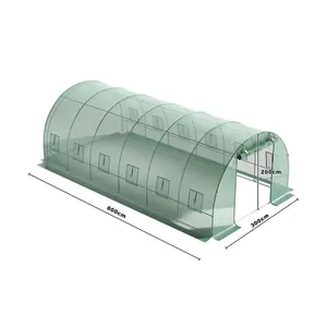 Green Walk In Steel Frame Garden Tunnel Greenhouse with Roll Up Door Windows, 6x3x2M