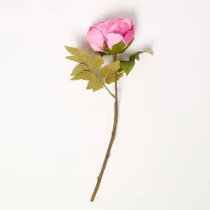 Homescapes Artificial Stem of Dried Pink Peony Flowers, 48 cm