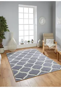 Melrose Carved Trellis Patterned Medium Grey Area Rug 120x170cm