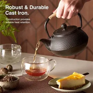 Japanese Cast Iron Teapot