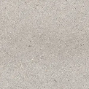 Azure Matt Grey Concrete Effect Porcelain Outdoor Tile - Pack of 2, 0.72m² - (L)600x(W)600