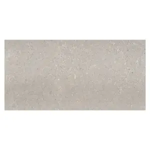 Azure Matt Grey Stone Effect Porcelain Outdoor Tile - Pack of 7, 5.04m² - (L)1200x(W)600mm