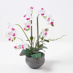 Homescapes White Orchid 52 cm Phalaenopsis in Cement Pot Extra Large, 5 Stems