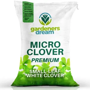 2.5kg Micro White Clover Grass Seed Eco-Friendly Drought Resistant Lawn Cover