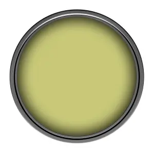 Leyland Trade Vinyl Silk Walls & Ceilings Emulsion Paint Mustard Green (PPG1217-6) - 5L