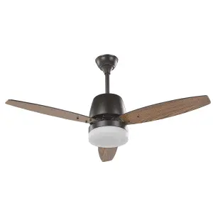 Ceiling Fan with Light Black MLAVA