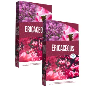 2 Bags (120L) Ericaceous Plant Soil Specially Formulated With Essential Nutrients Azalea, Camellia, Rhododendron & Heather