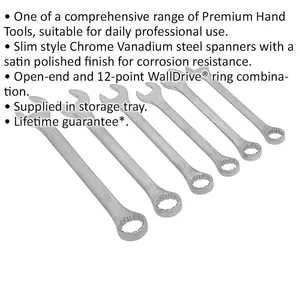 6-Piece Extra Large Combination Spanner Set for Professional Use