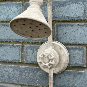 Old Shower Head Bird Bath or Feeder, sturdy metal construction, easy hang novelty garden bird lover gift